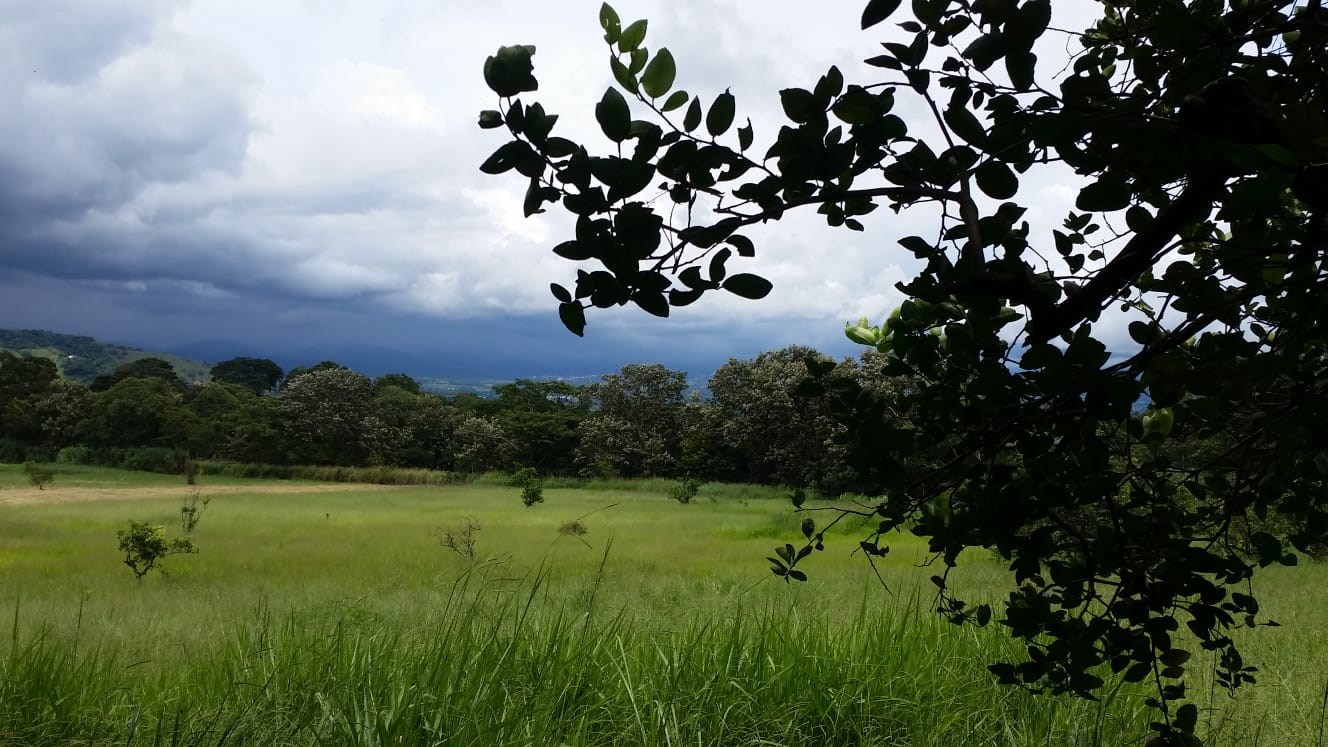 Building Lots for sale in Atenas Costa Rica