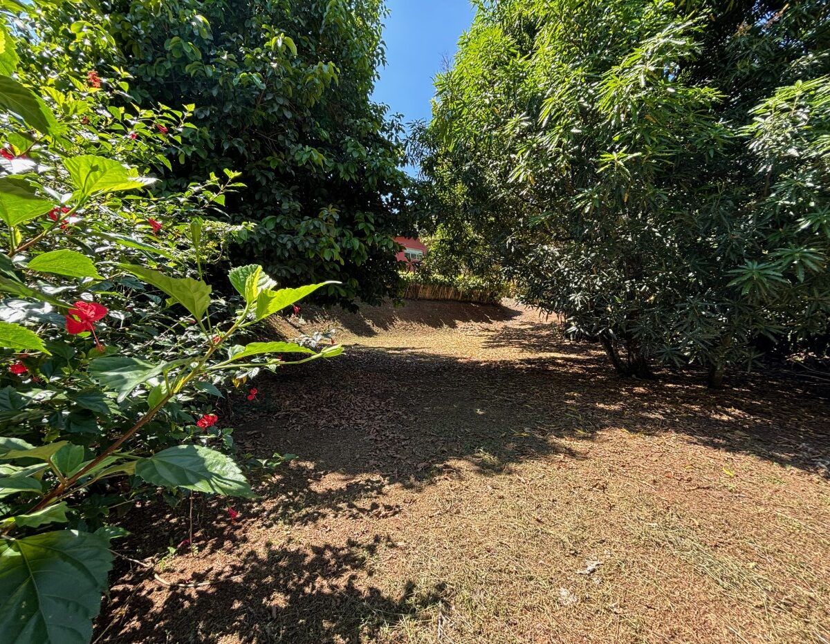 Building Lots for sale in Atenas Costa Rica