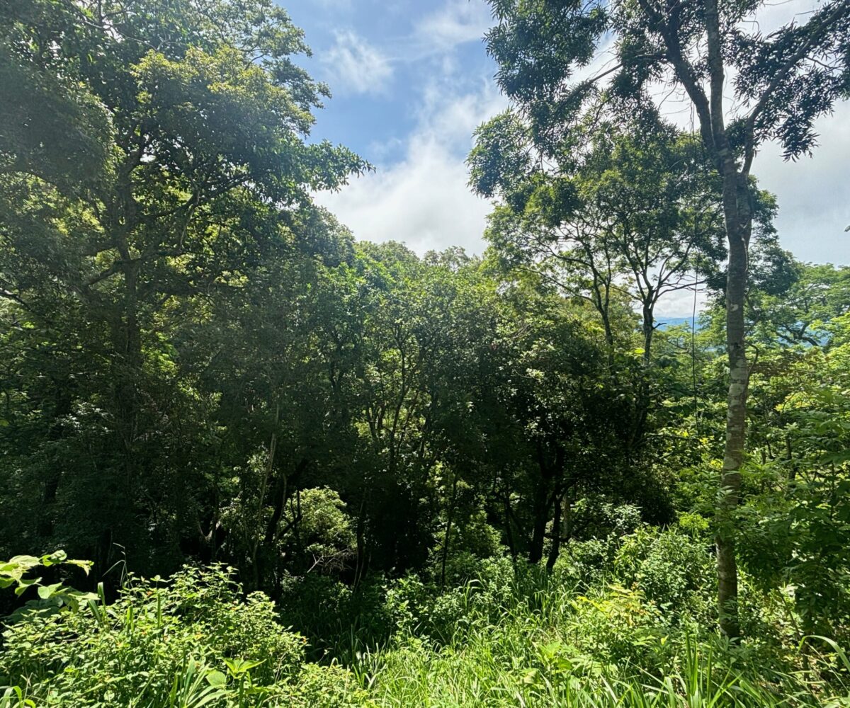 Building Lots for sale in Atenas Costa Rica