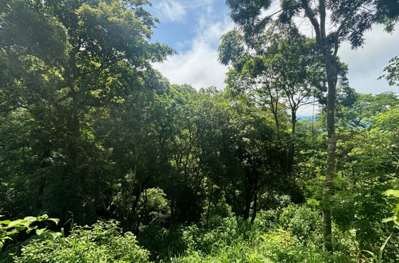 Building Lots for sale in Atenas Costa Rica