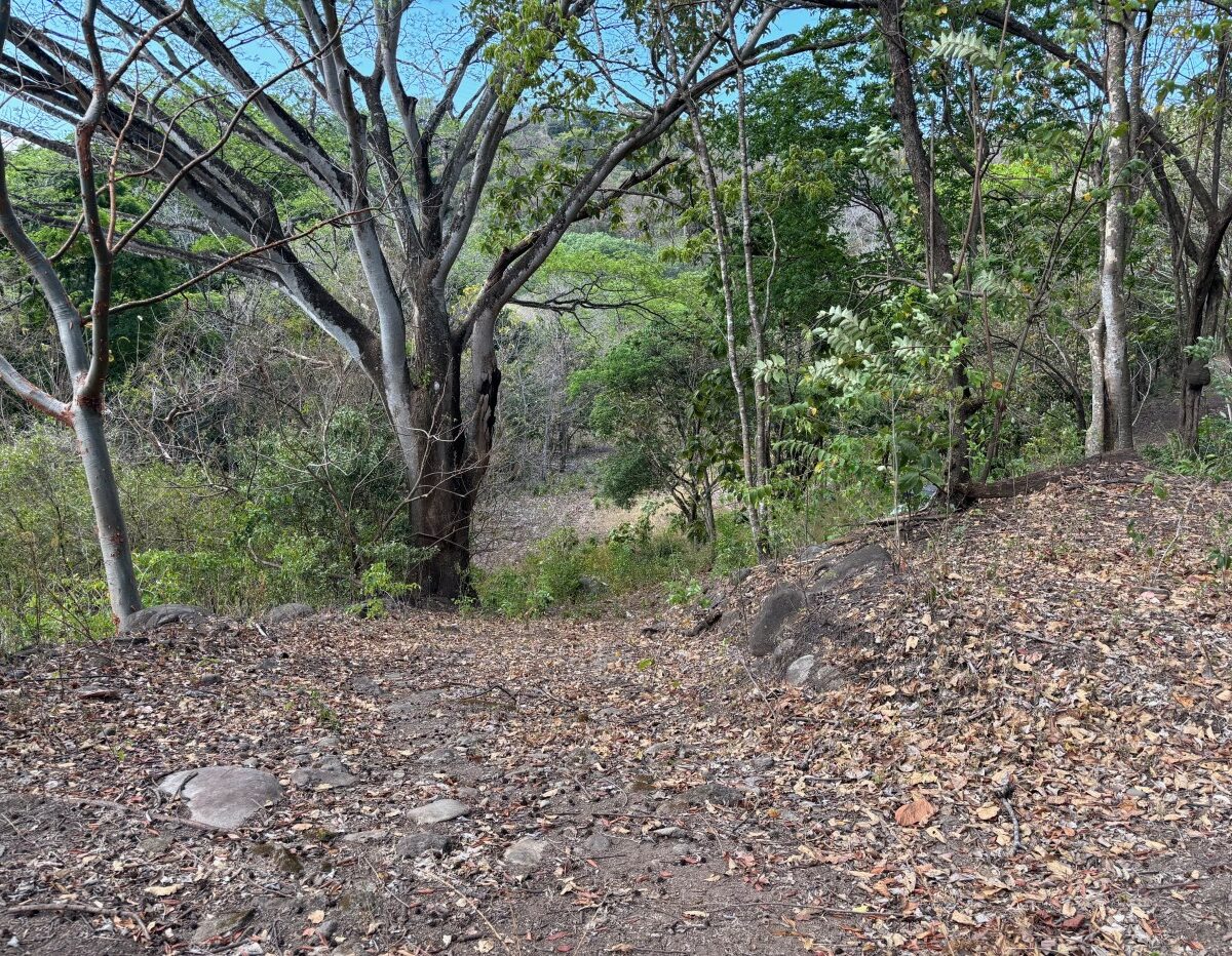 Building Lots for sale in Atenas Costa Rica