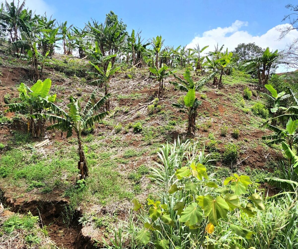 Building Lots for sale in Atenas Costa Rica