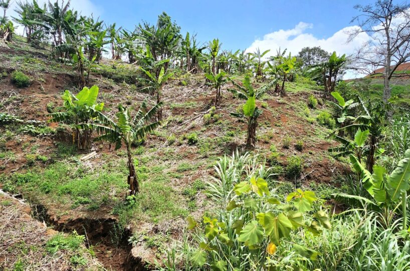 Building Lots for sale in Atenas Costa Rica