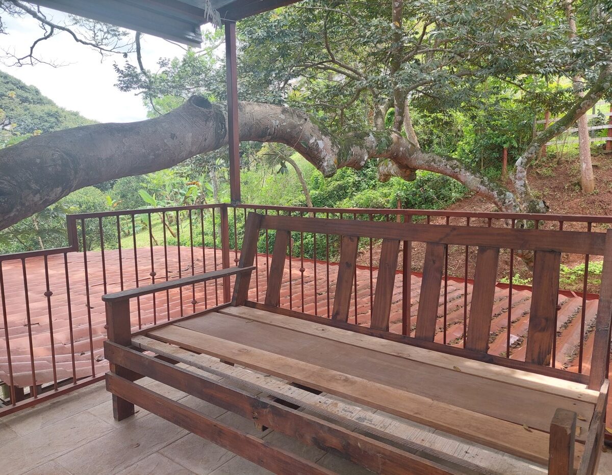 Homes for sale in Atenas Costa Rica