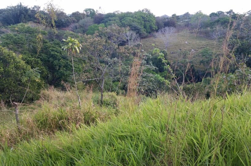 Building Lots for sale in Atenas Costa Rica