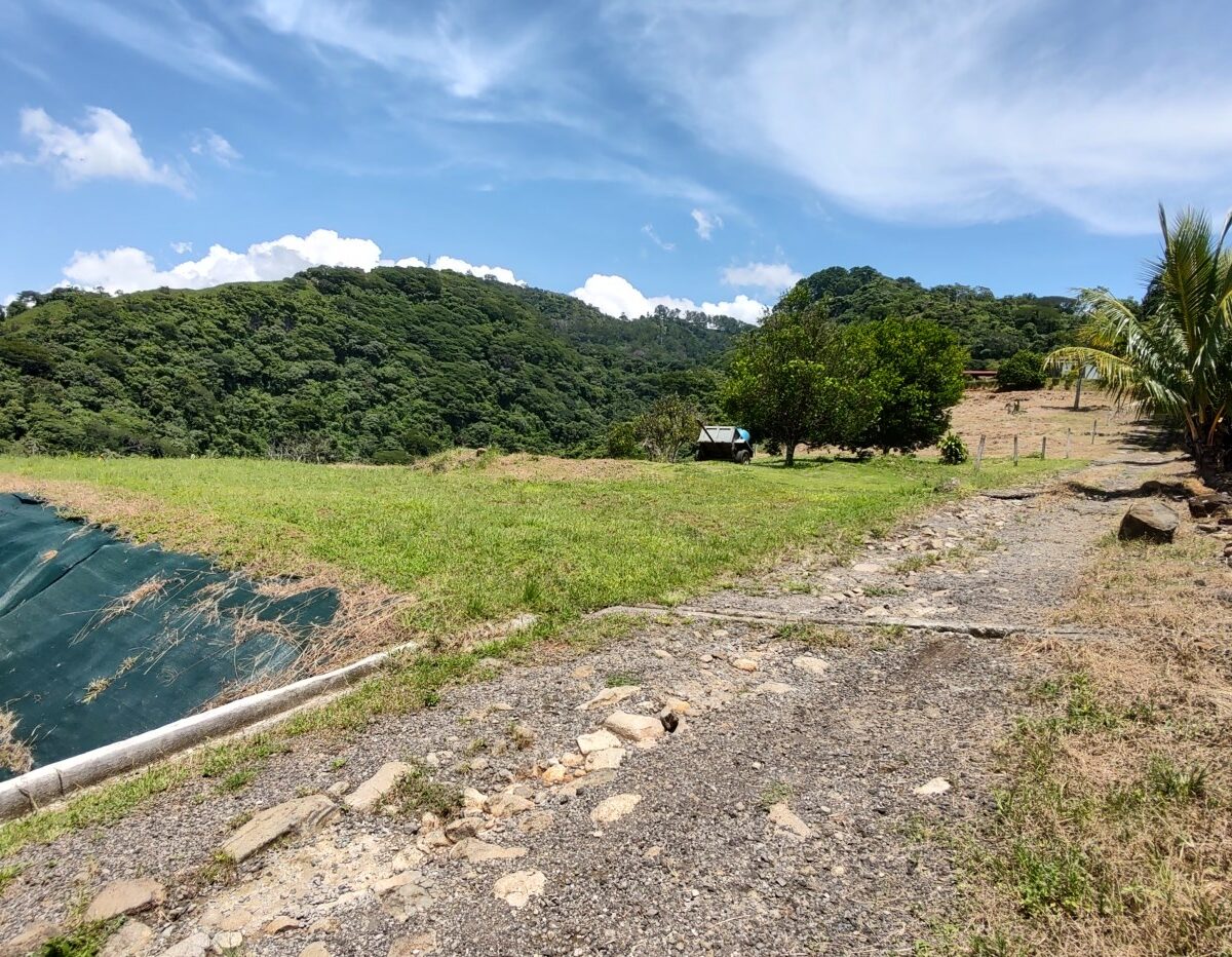 Homes for sale in Atenas Costa Rica