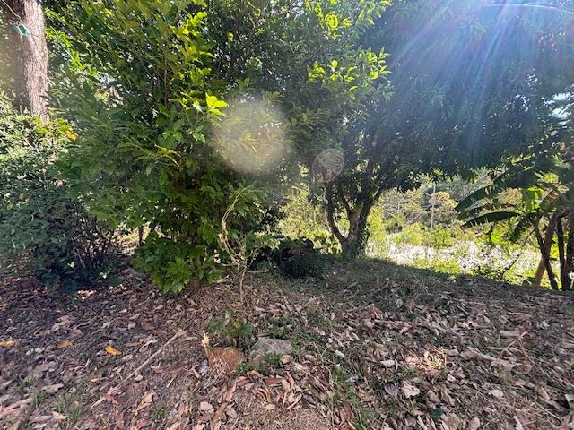 Building Lots for sale in Atenas Costa Rica