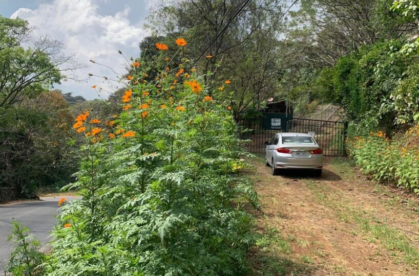 Building Lots for sale in Atenas Costa Rica