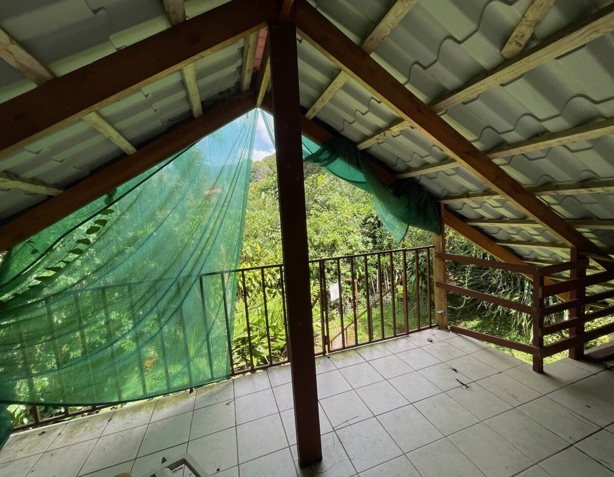 Homes for sale in Atenas Costa Rica