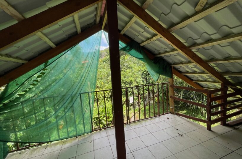 Homes for sale in Atenas Costa Rica