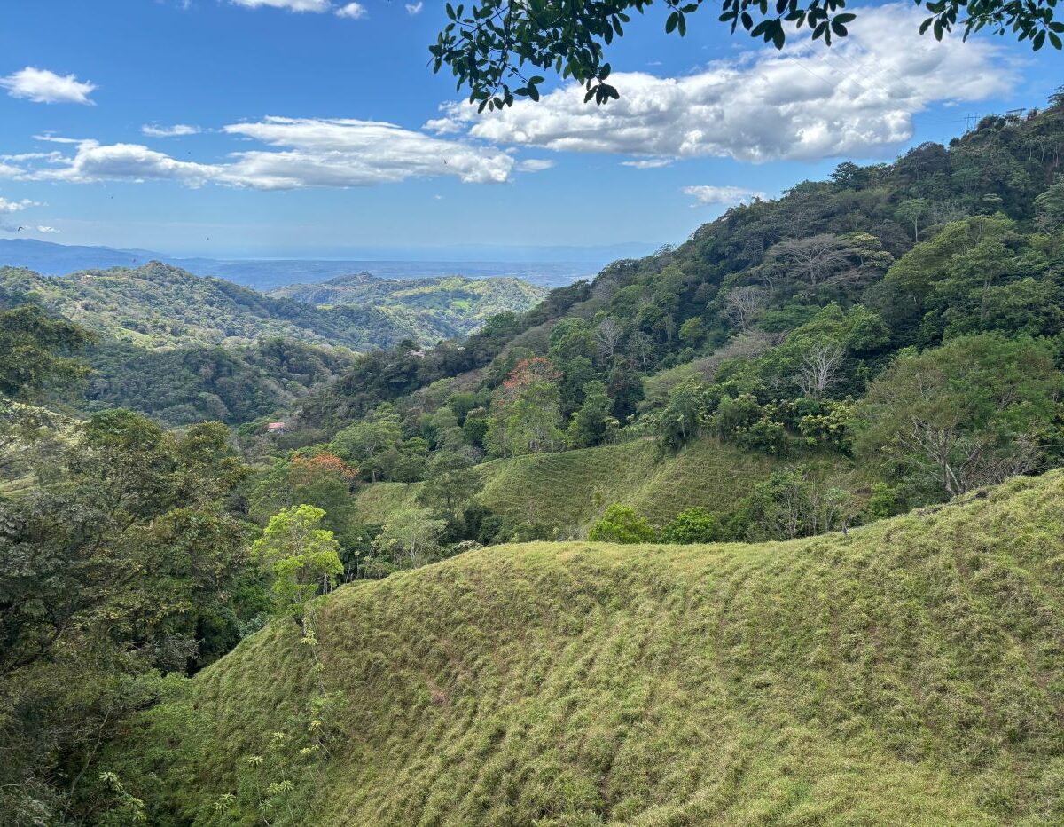 Homes for sale in Atenas Costa Rica