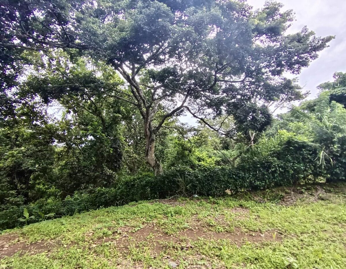 Building Lots for sale in Atenas Costa Rica