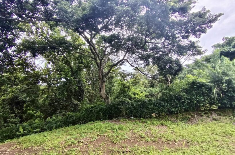 Building Lots for sale in Atenas Costa Rica