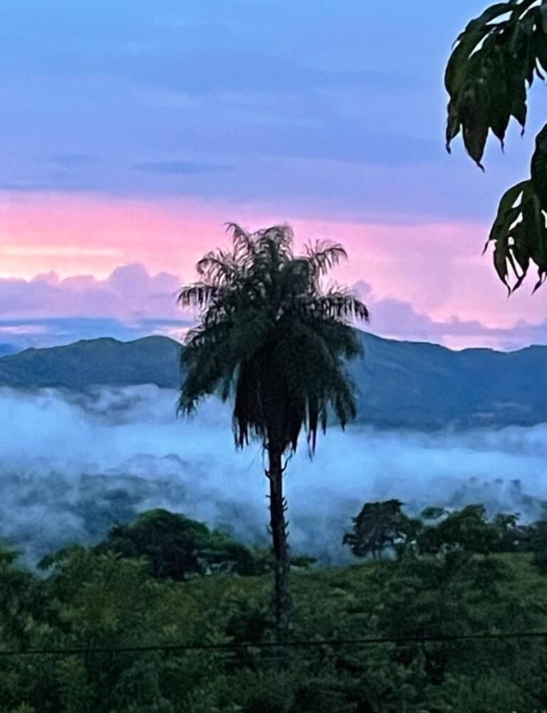 Homes for sale in Atenas Costa Rica