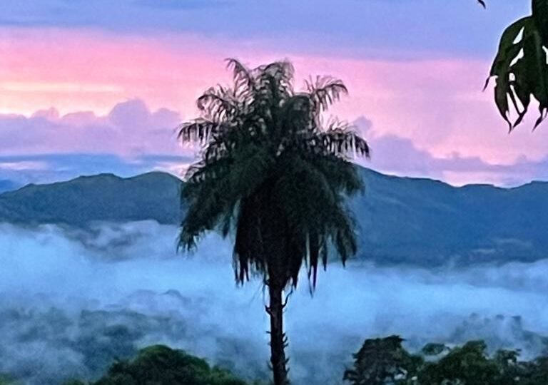 Homes for sale in Atenas Costa Rica