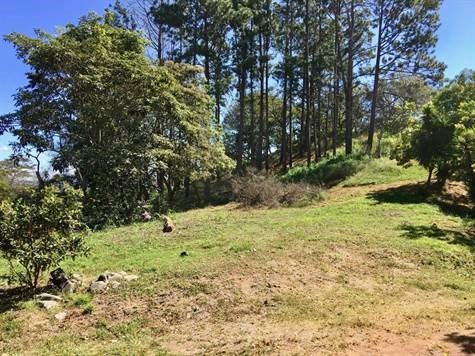 Building Lots for sale in Atenas Costa Rica