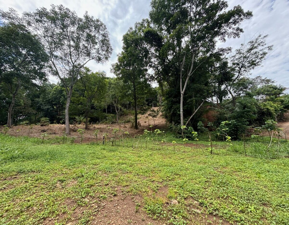 Building Lots for sale in Atenas Costa Rica