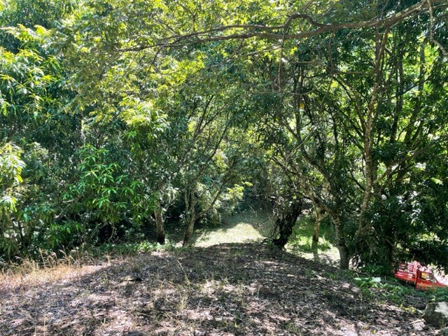 Building Lots for sale in Atenas Costa Rica