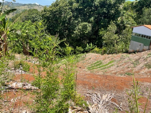 Building Lots for sale in Atenas Costa Rica
