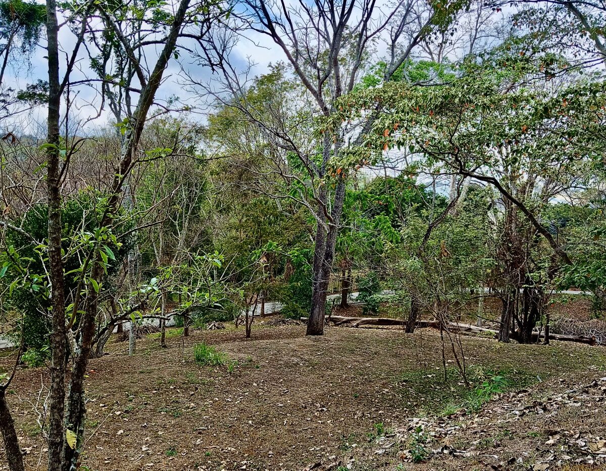 Building Lots for sale in Atenas Costa Rica
