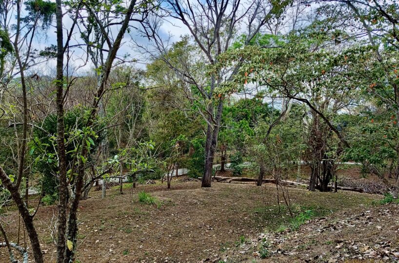 Building Lots for sale in Atenas Costa Rica