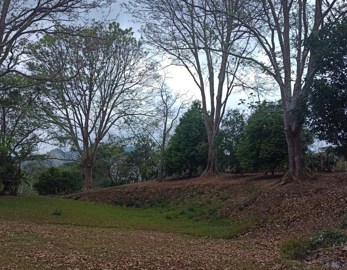 Building Lots for sale in Atenas Costa Rica