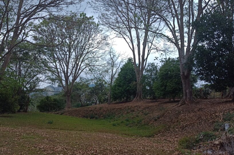 Building Lots for sale in Atenas Costa Rica