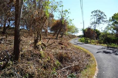 Building Lots for sale in Atenas Costa Rica