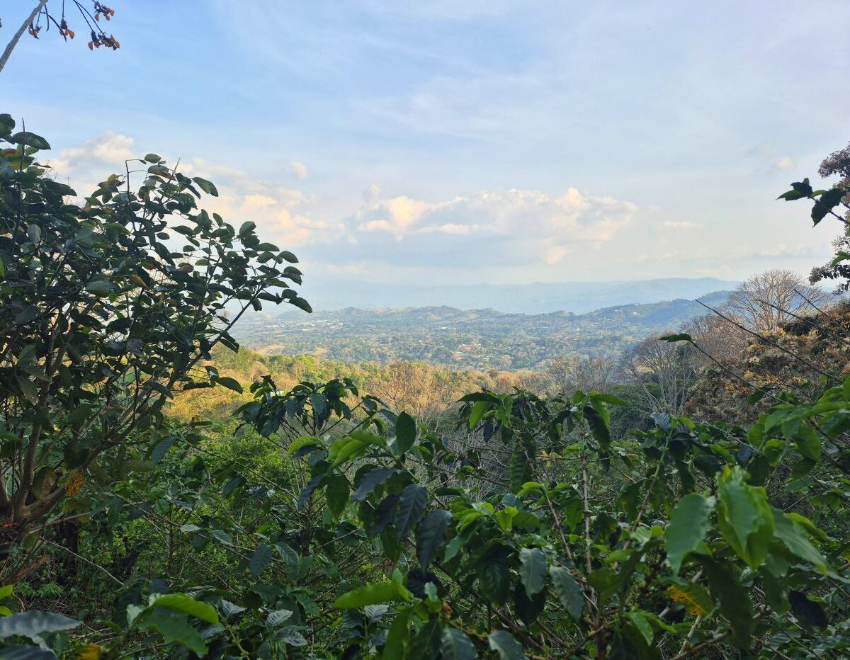 Building Lots for sale in Atenas Costa Rica