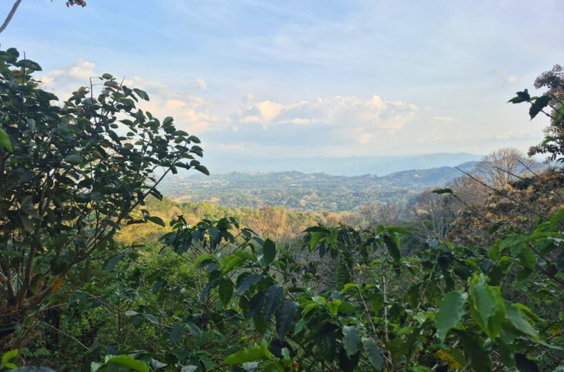 Building Lots for sale in Atenas Costa Rica