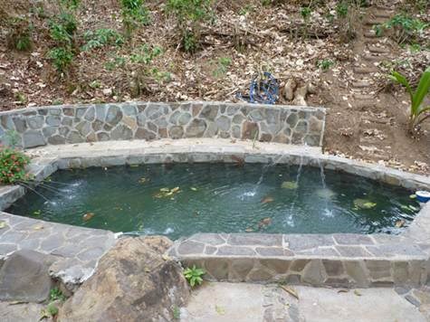 Homes for sale in Atenas Costa Rica