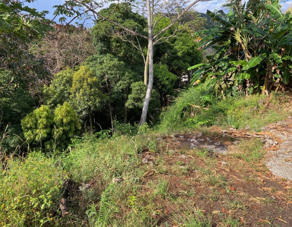 Building Lots for sale in Atenas Costa Rica