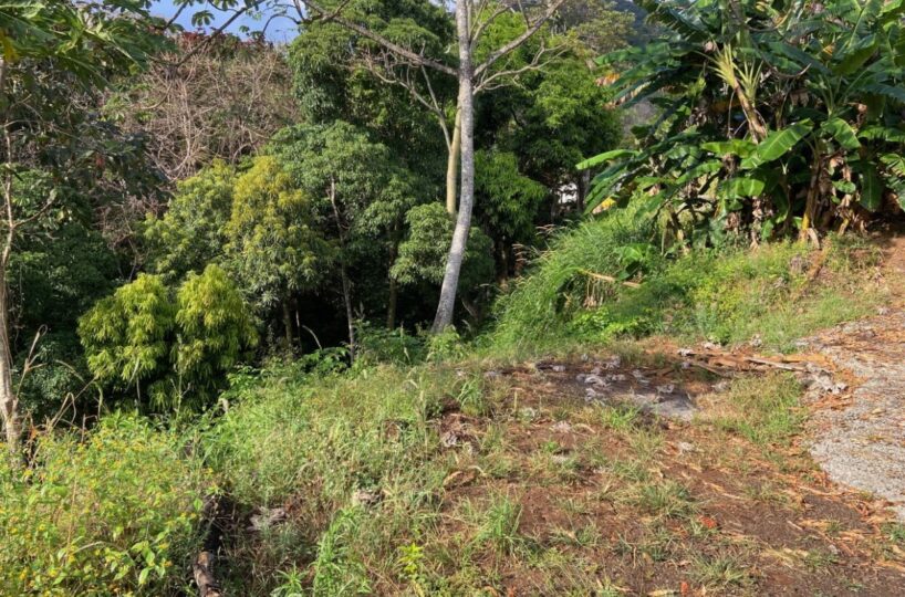 Building Lots for sale in Atenas Costa Rica