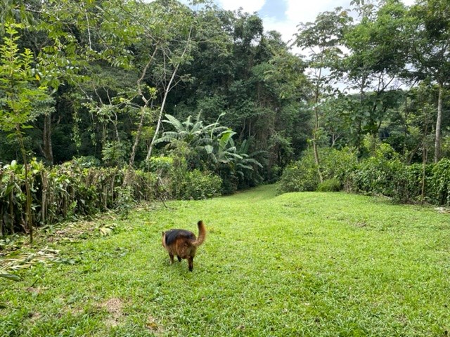 Building Lots for sale in Atenas Costa Rica