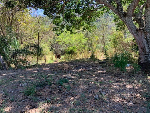 Building Lots for sale in Atenas Costa Rica