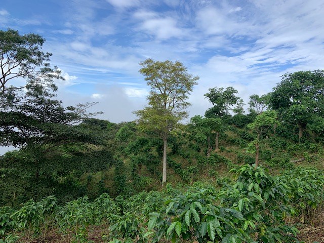 Building Lots for sale in Atenas Costa Rica