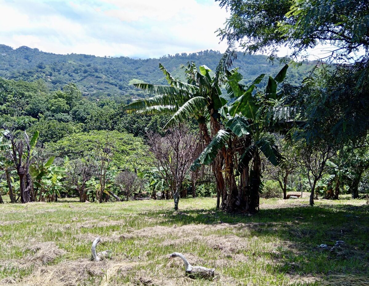 Building Lots for sale in Atenas Costa Rica