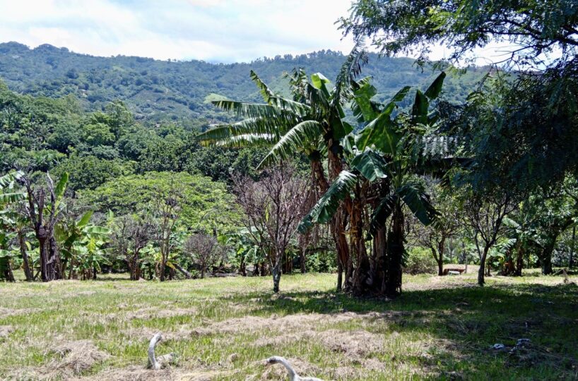 Building Lots for sale in Atenas Costa Rica