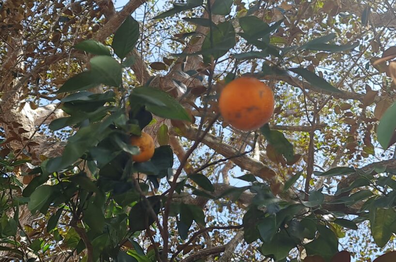 Homes for sale in Atenas Costa Rica