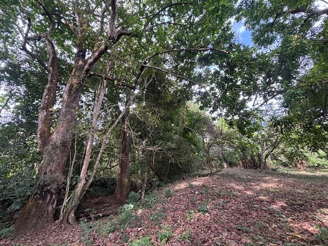 Building Lots for sale in Atenas Costa Rica
