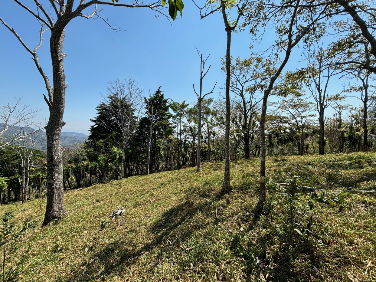 Building Lots for sale in Atenas Costa Rica
