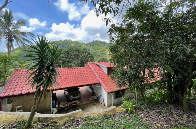 Homes for sale in Atenas Costa Rica