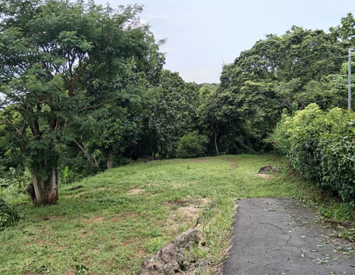 Building Lots for sale in Atenas Costa Rica