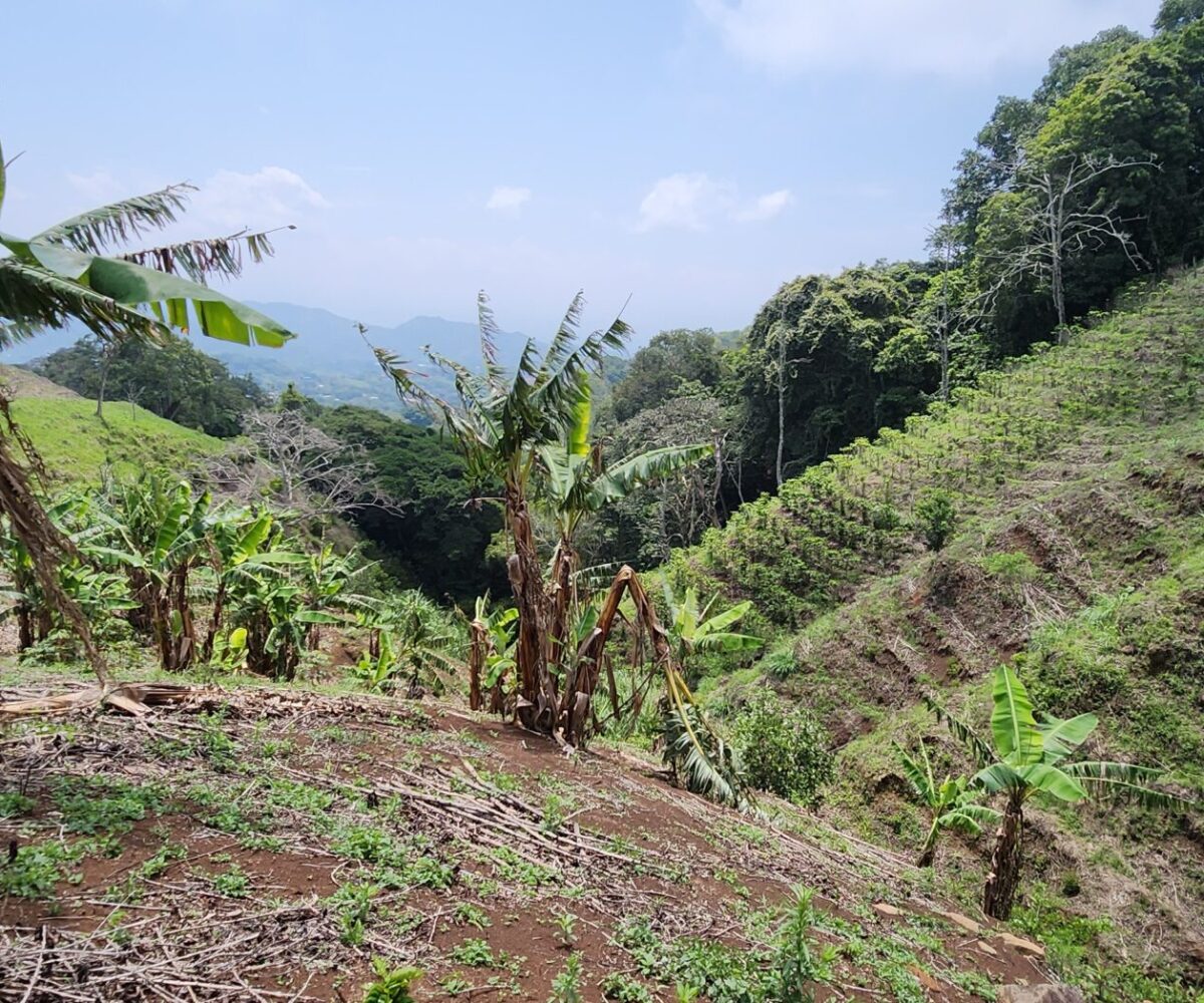 Building Lots for sale in Atenas Costa Rica