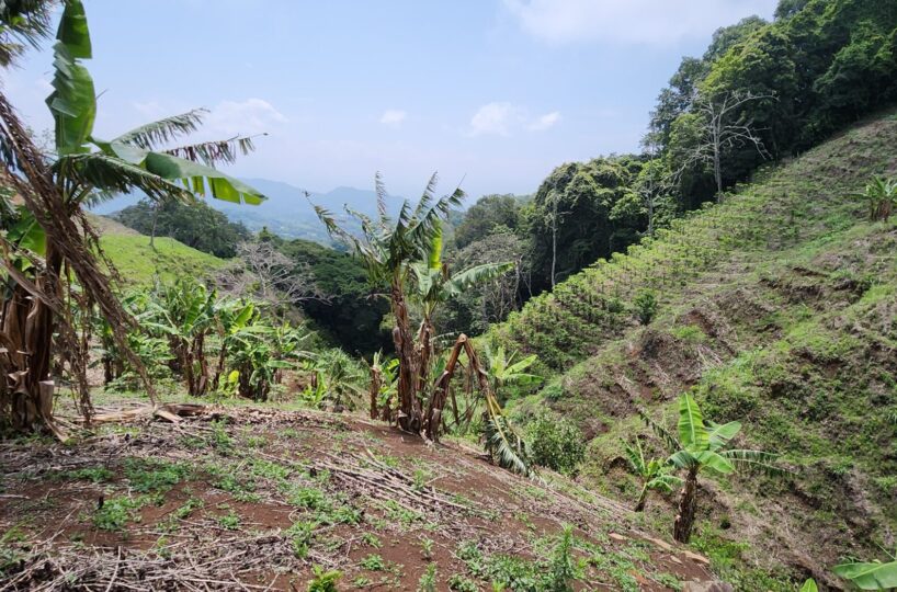 Building Lots for sale in Atenas Costa Rica