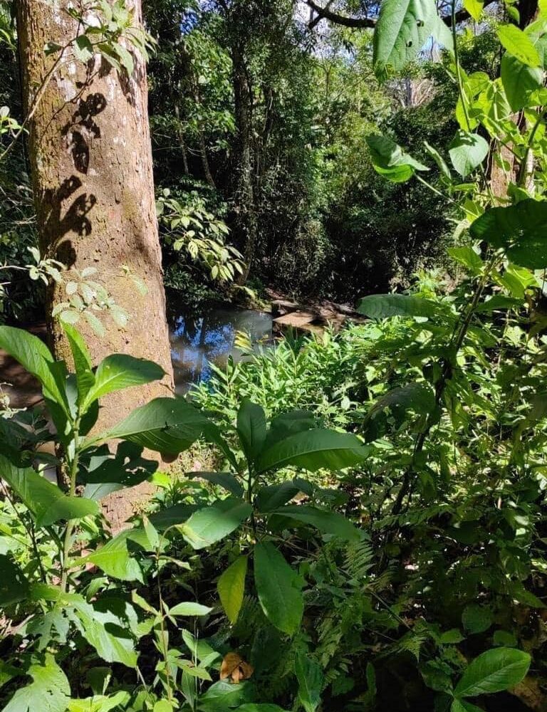 Homes for sale in Atenas Costa Rica