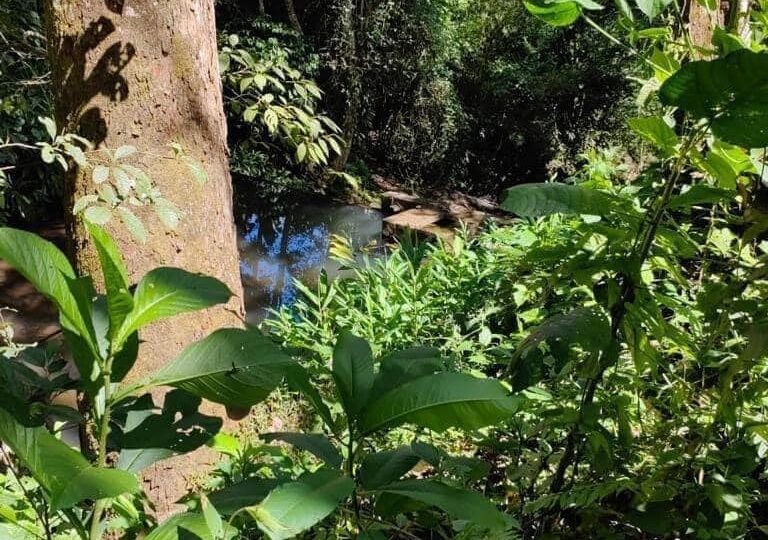 Homes for sale in Atenas Costa Rica