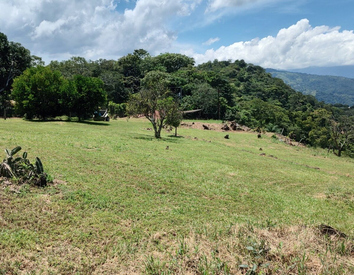 Homes for sale in Atenas Costa Rica