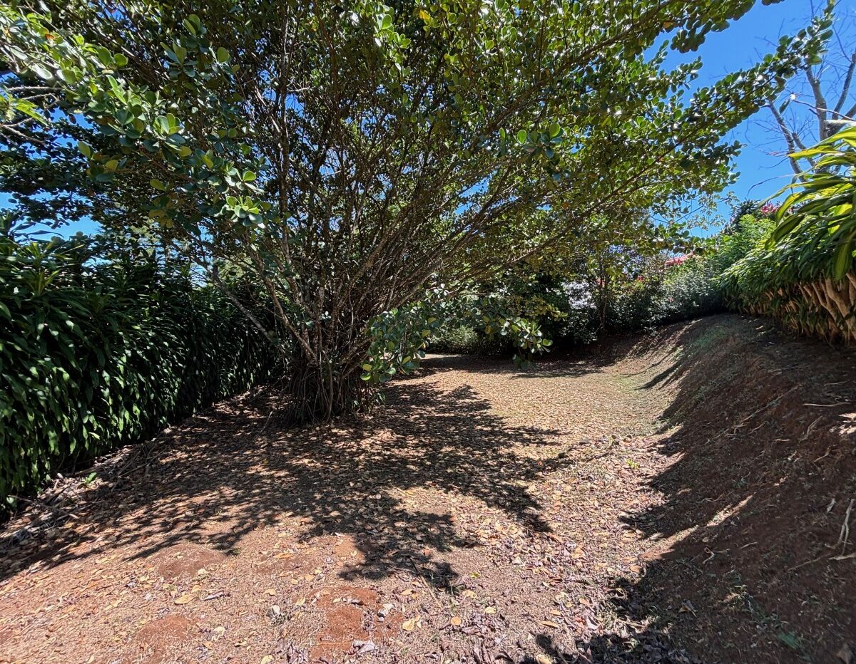 Building Lots for sale in Atenas Costa Rica