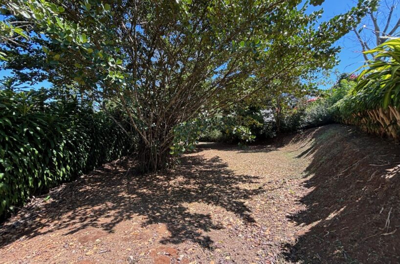 Building Lots for sale in Atenas Costa Rica